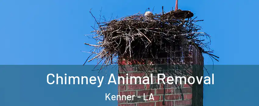 Chimney Animal Removal Kenner - LA