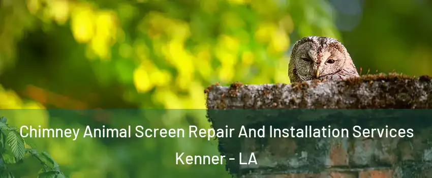  Chimney Animal Screen Repair And Installation Services Kenner - LA